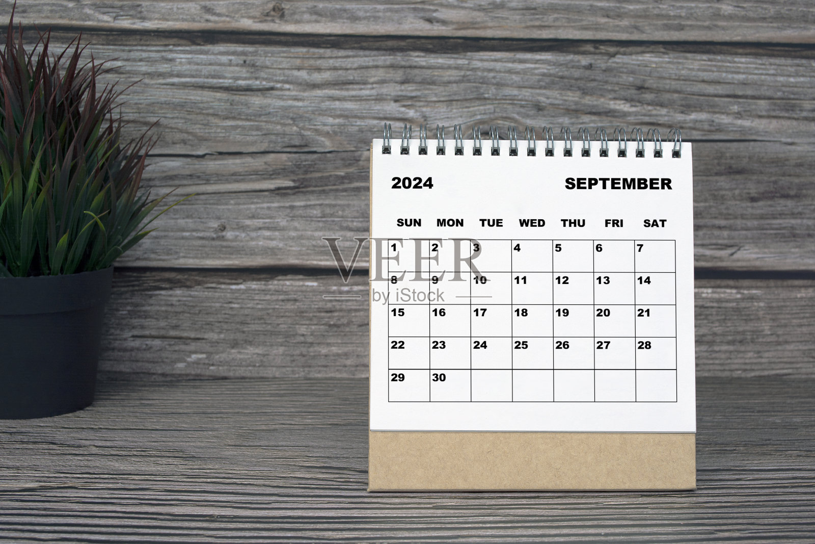 木桌上的2024年9月白色日历。2024新年概念照片摄影图片
