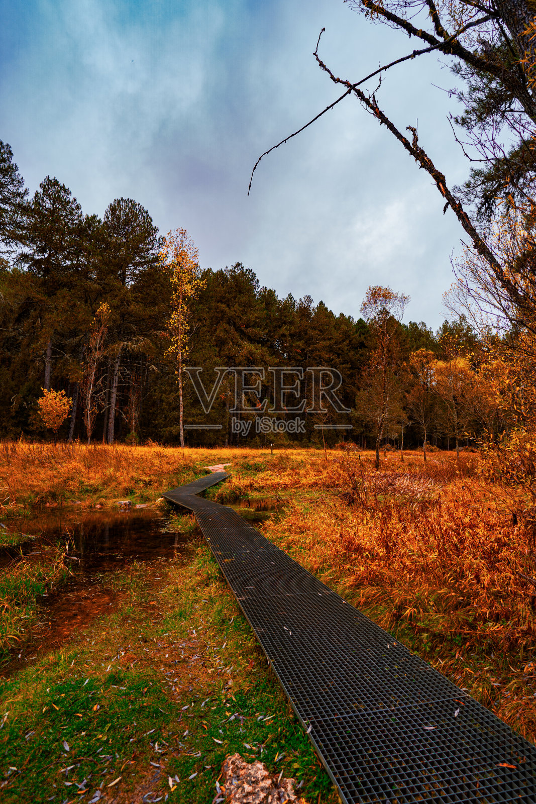橙色秋季风景，中间一条路照片摄影图片