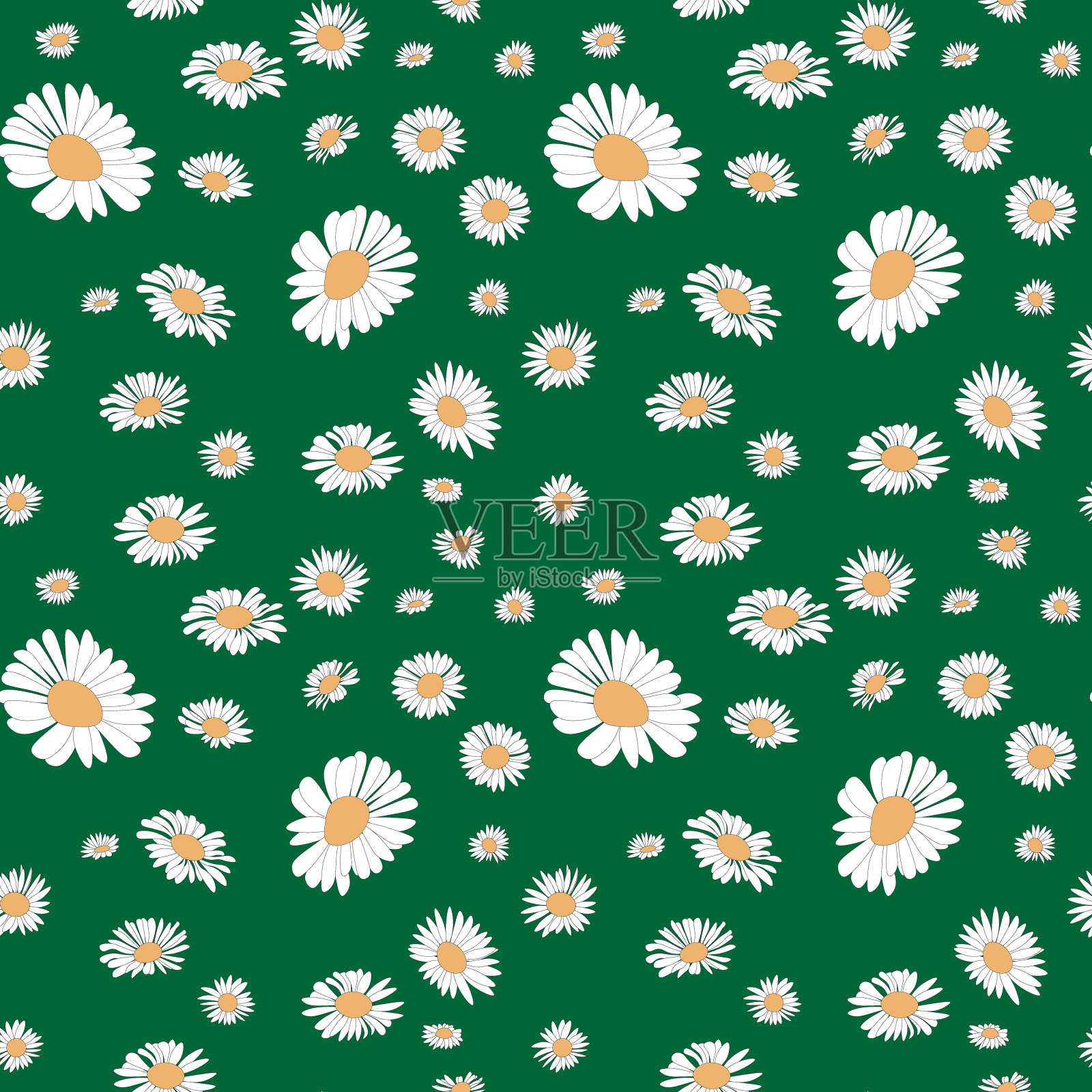 绿色背景上的白色甘菊。无缝模式。插画图片素材