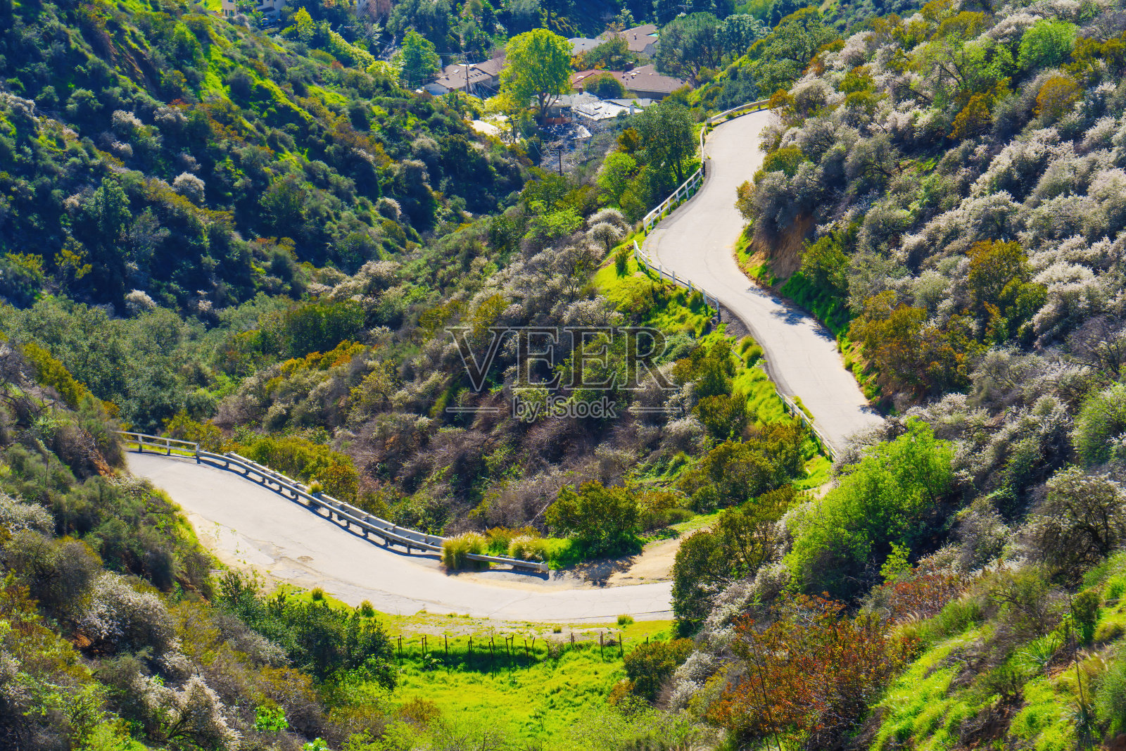 好莱坞山徒步小径特写照片摄影图片