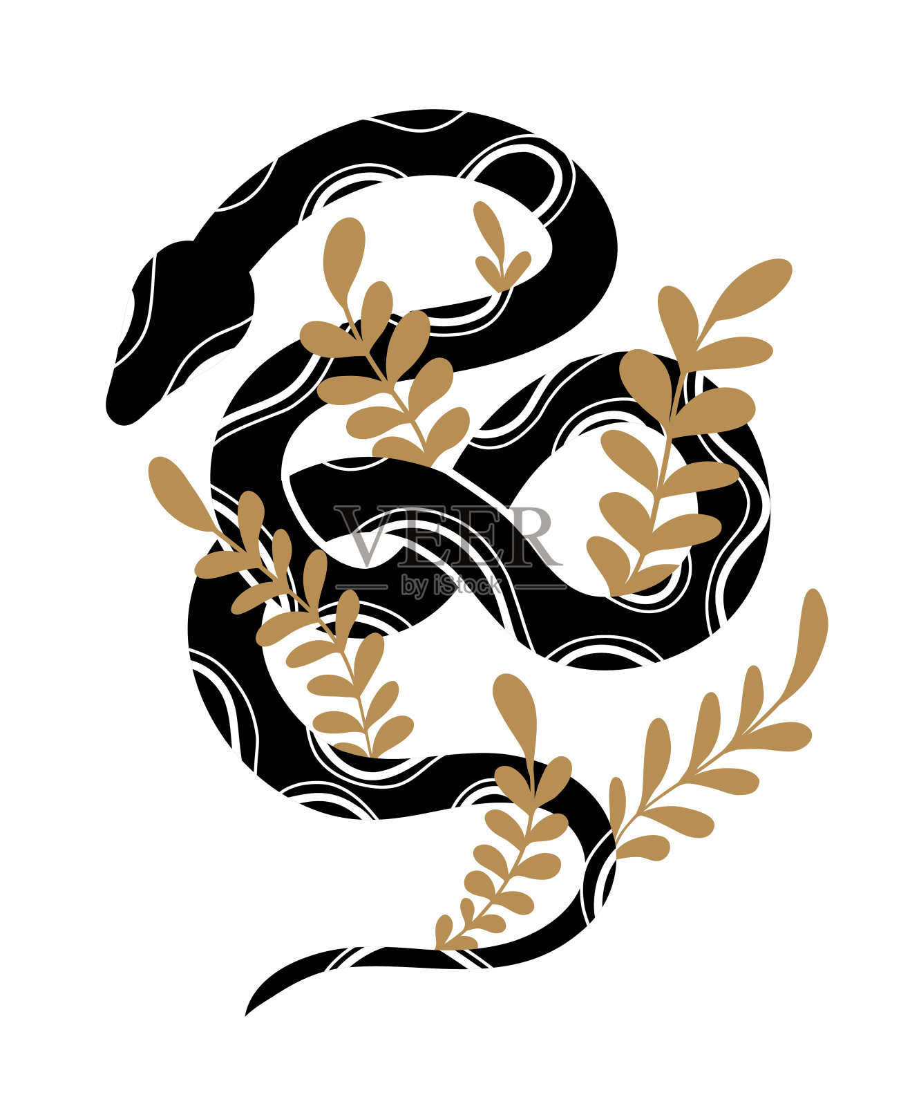 奢华的装饰漩涡蛇与茎和叶插图。蟒蛇剪贴画与自然装饰。插画图片素材