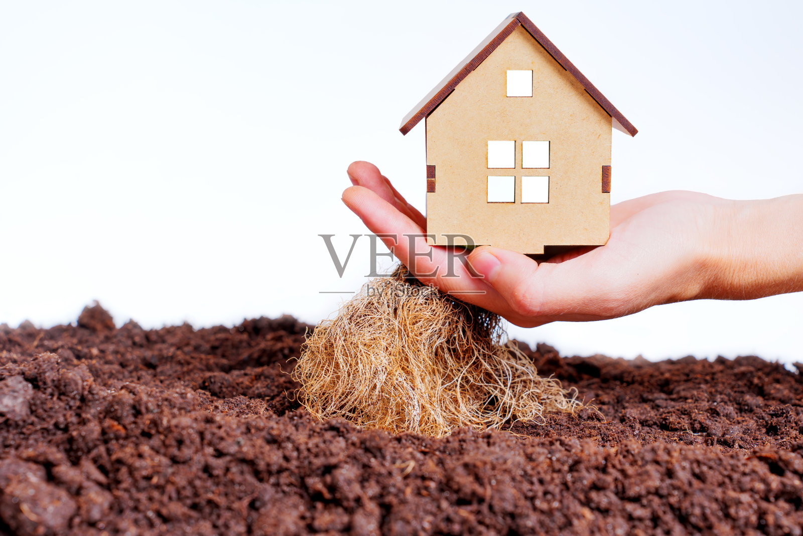 手持植物根的房屋模型照片摄影图片