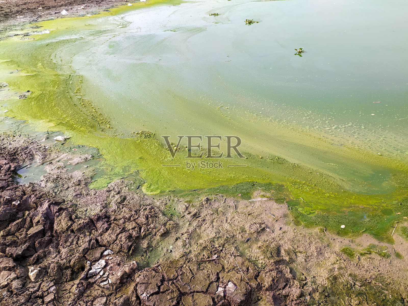 浪费问题照片摄影图片