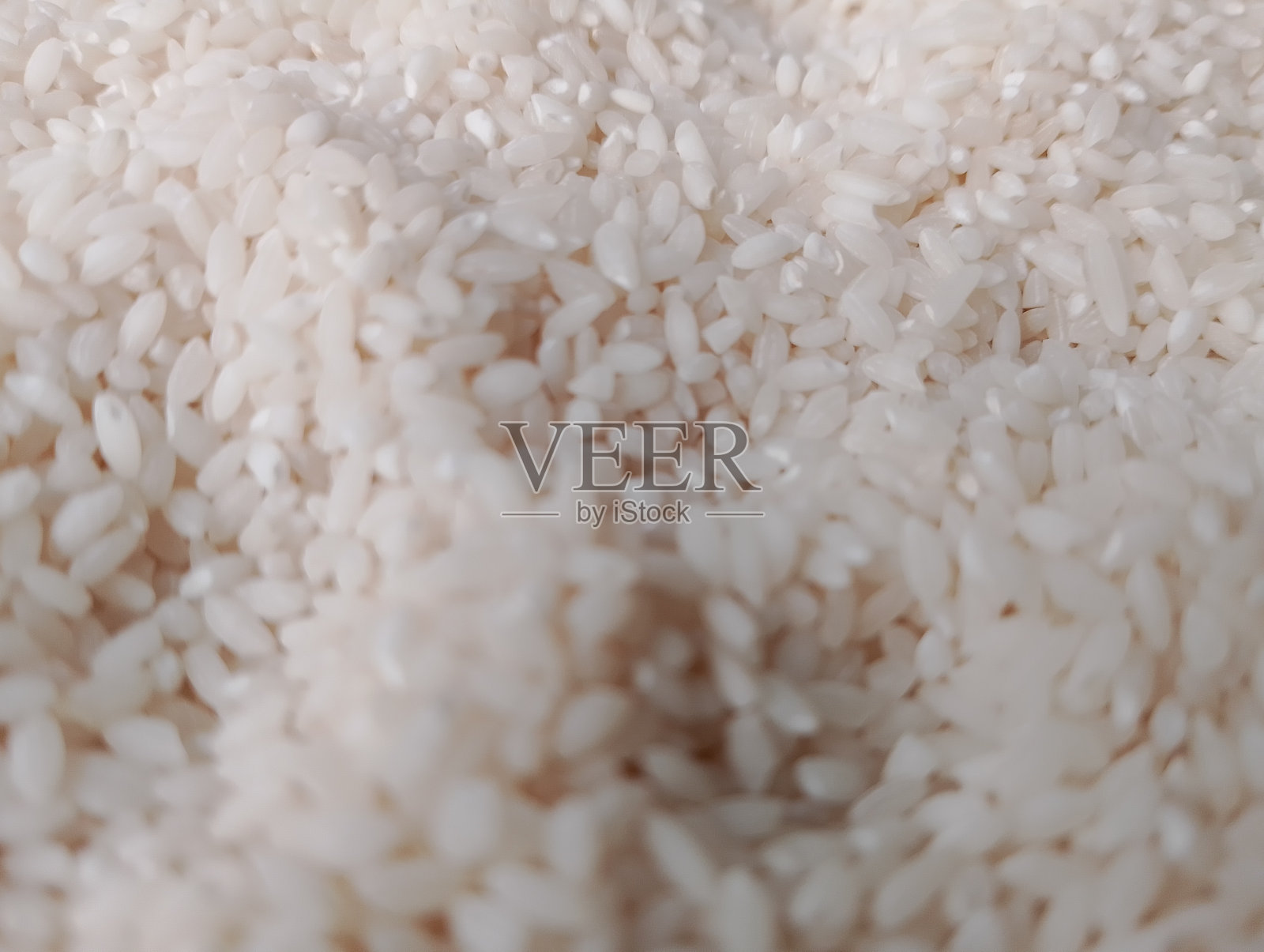 Polao米分布:小米粒照片摄影图片