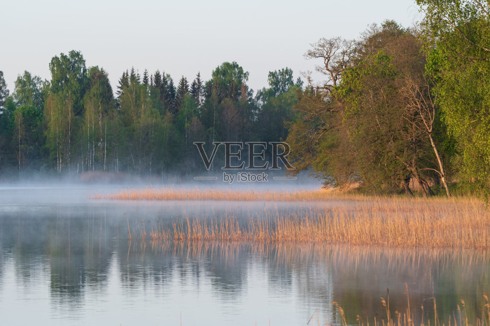 平静的湖面上弥漫着晨雾照片摄影图片