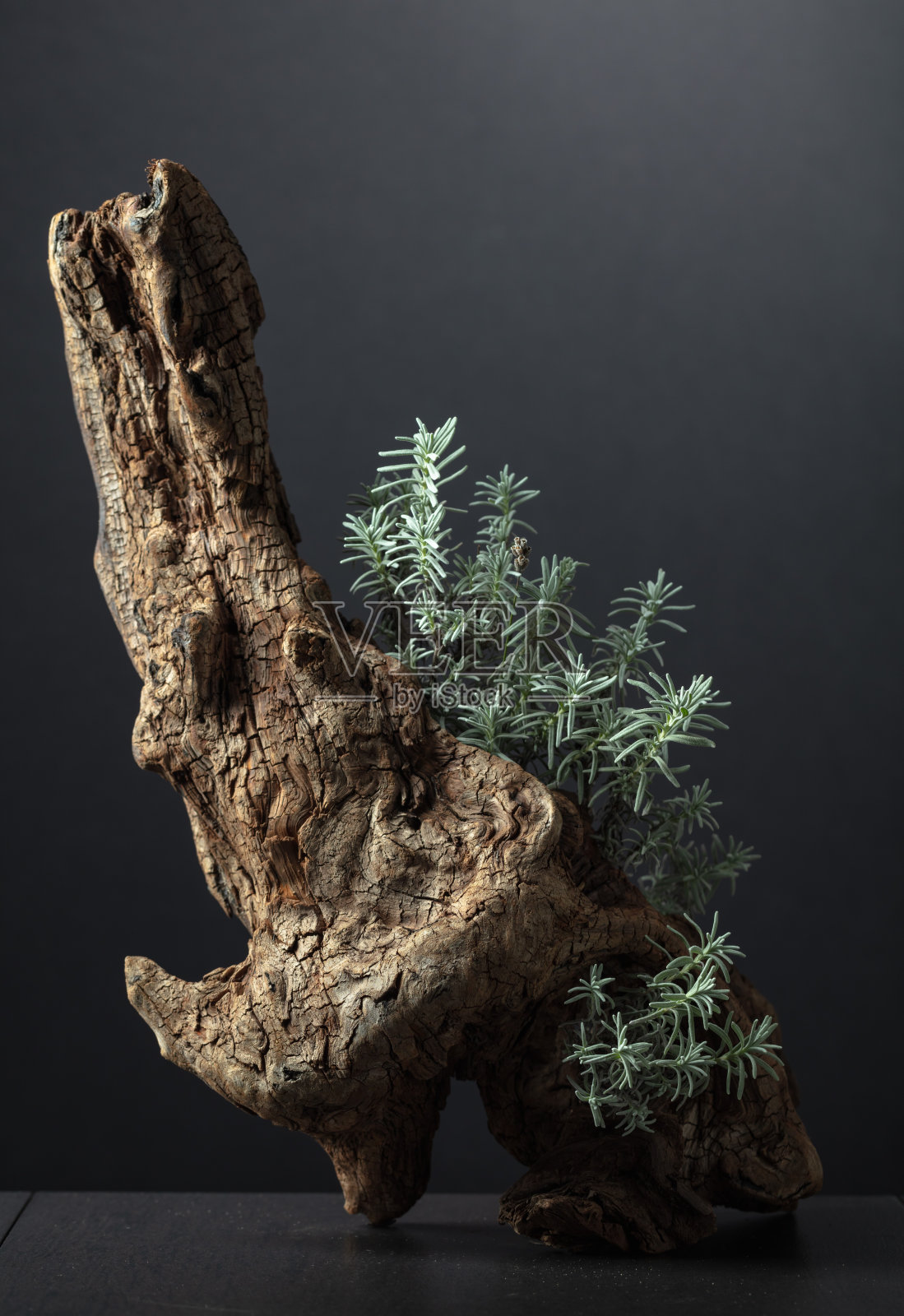 薰衣草和干刺草的成分。照片摄影图片