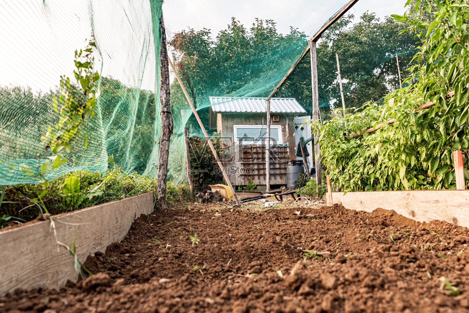 秋园翻耕花坛照片摄影图片