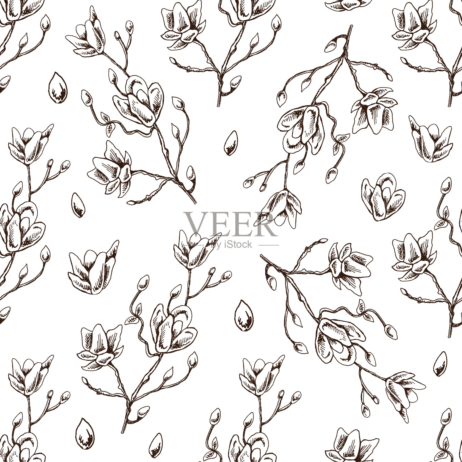 无缝图案的手绘白玉兰。单色花涂鸦。黑白复古元素。向量草图。细节复古风格。插画图片素材