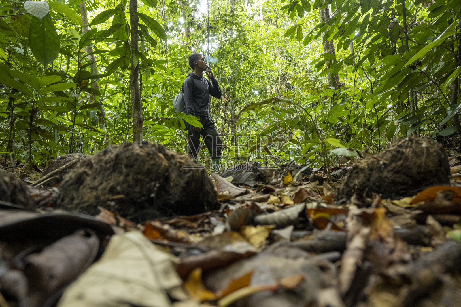 观察森林之美的人-库存照片照片摄影图片