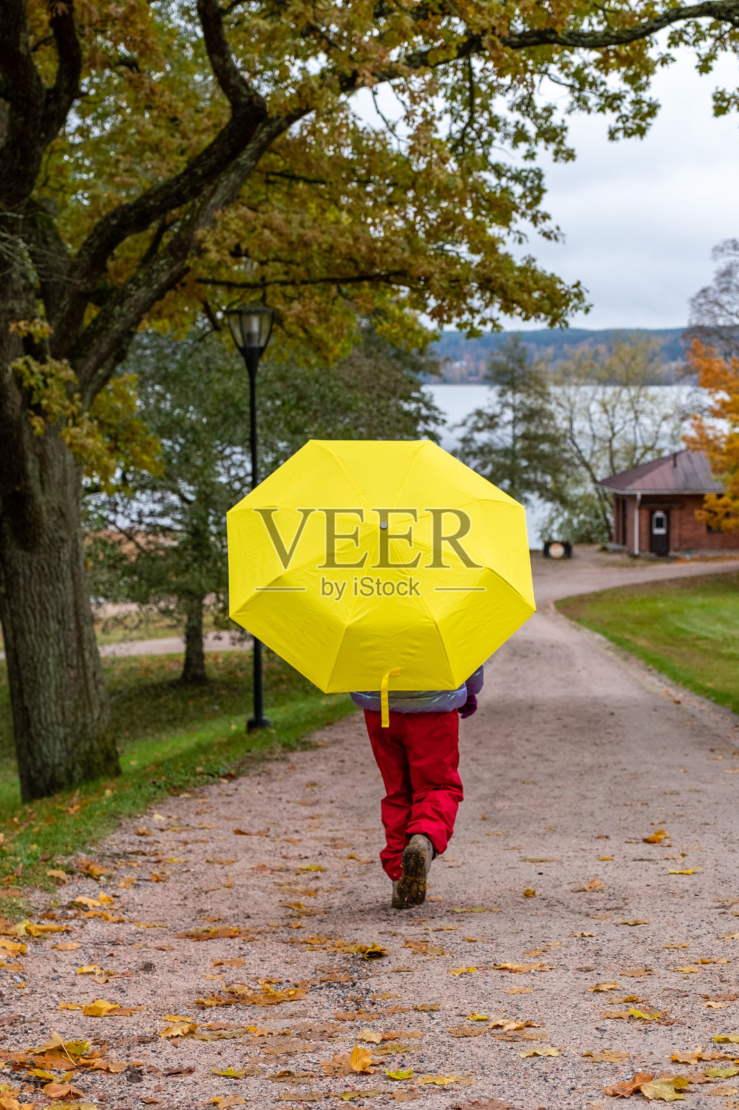 孩子，白人女孩，8岁，秋天散步。一个孩子撑着一把明黄色的伞穿过秋天的公园。照片摄影图片