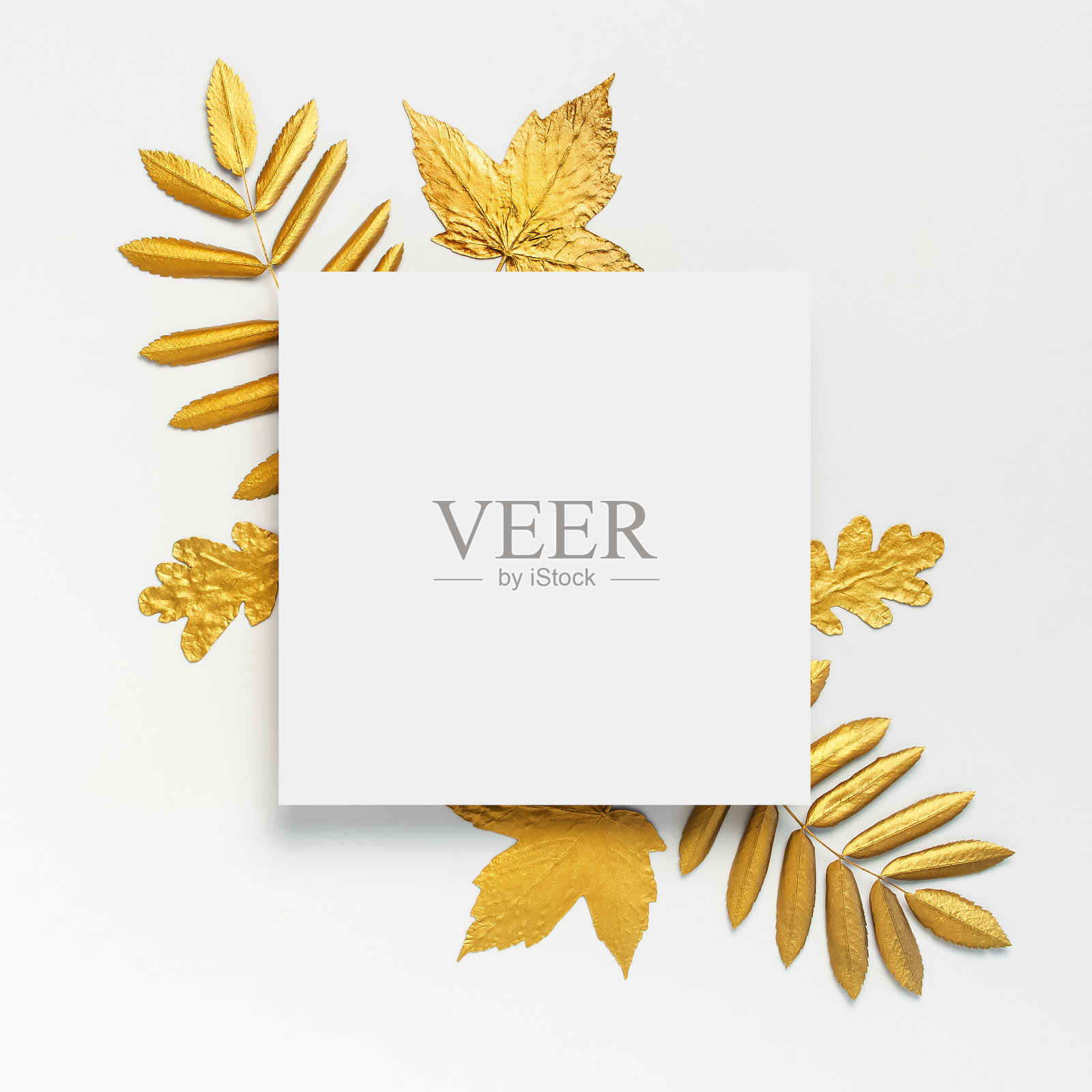 平铺创作秋季构图。白色灰色背景上的空白纸和金色叶子顶视图复制空间。秋天的概念。秋天的背景。最小概念的想法，花卉设计照片摄影图片