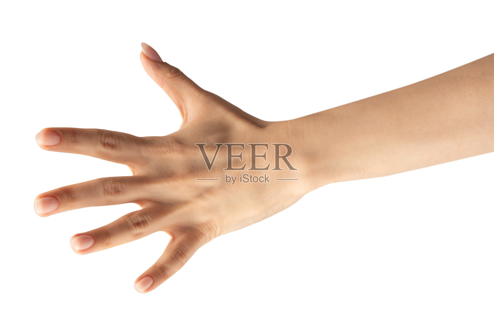 女人的手被隔离在白色的背景上。照片摄影图片