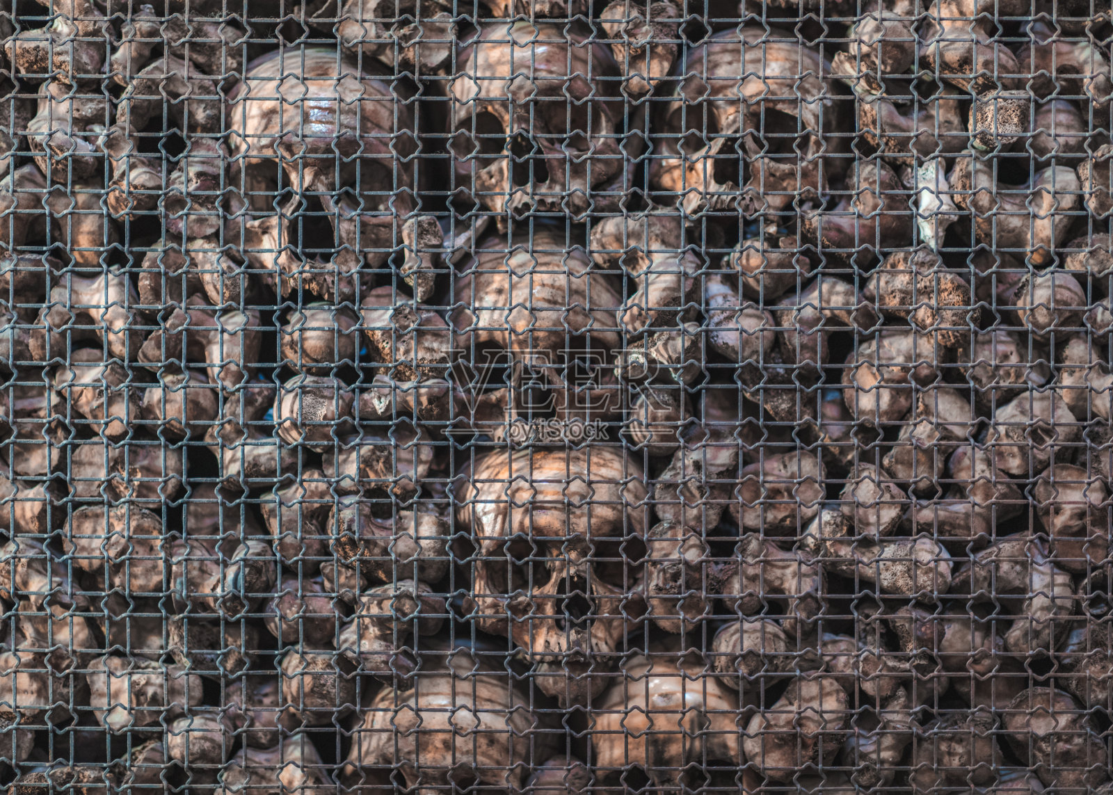 圣贝纳迪诺奥萨照片摄影图片