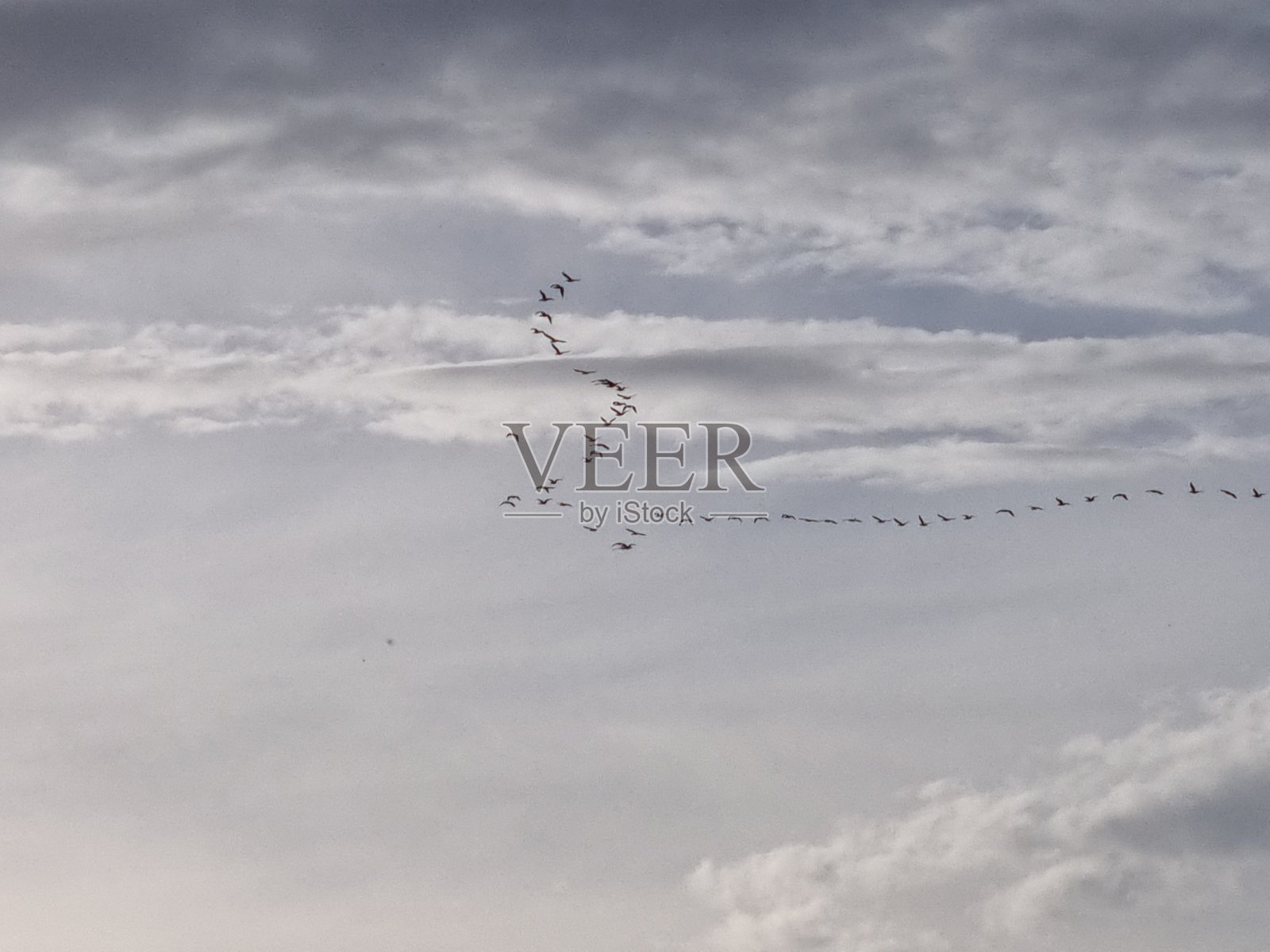 再见照片摄影图片