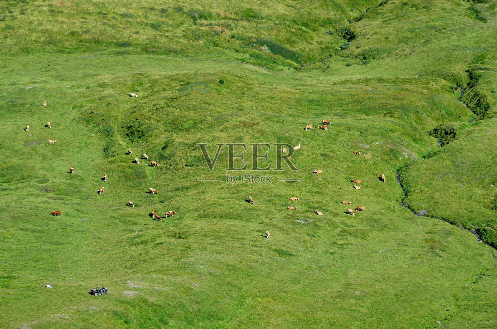 瑞士艾格尔的景色照片摄影图片
