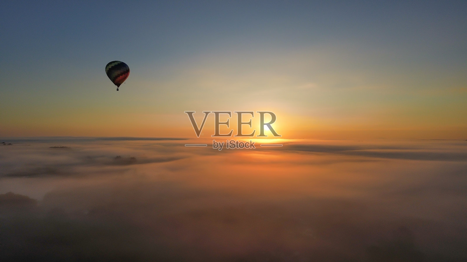 飞回家照片摄影图片