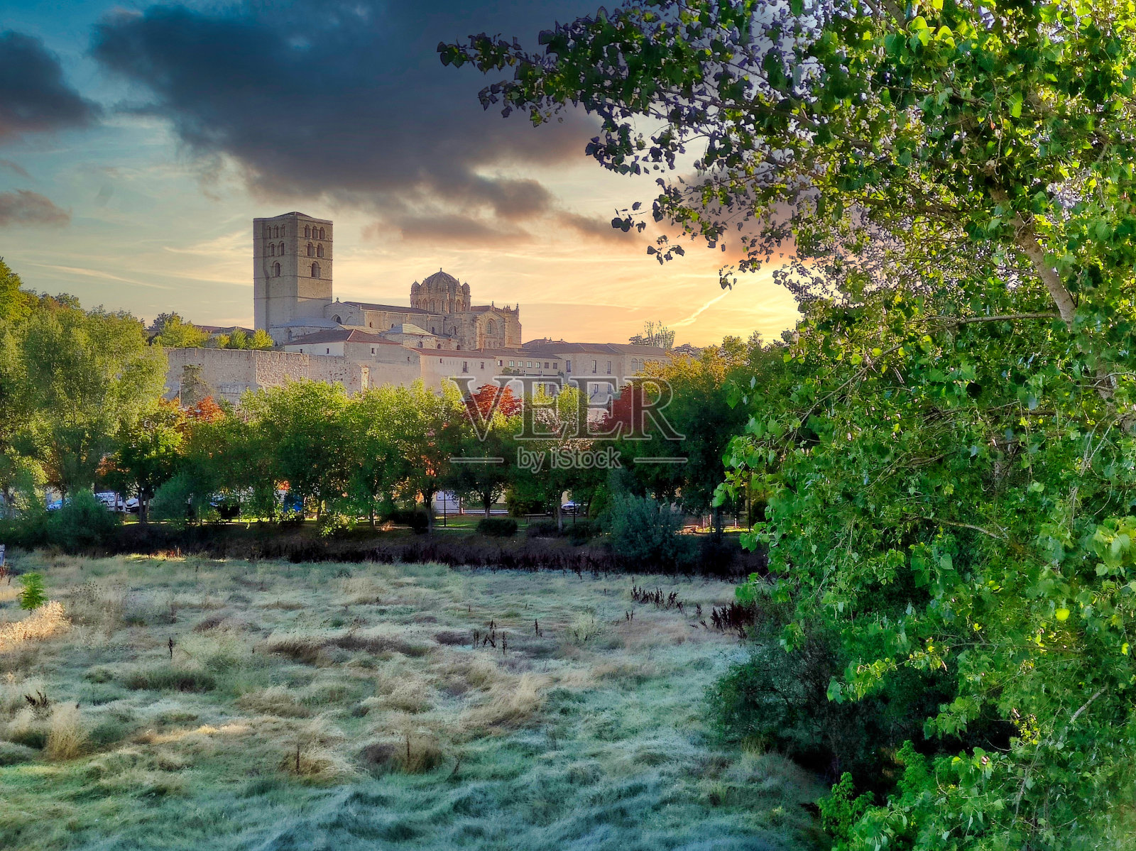 西班牙萨莫拉，黎明时分，被草地和树木环绕的萨莫拉大教堂照片摄影图片
