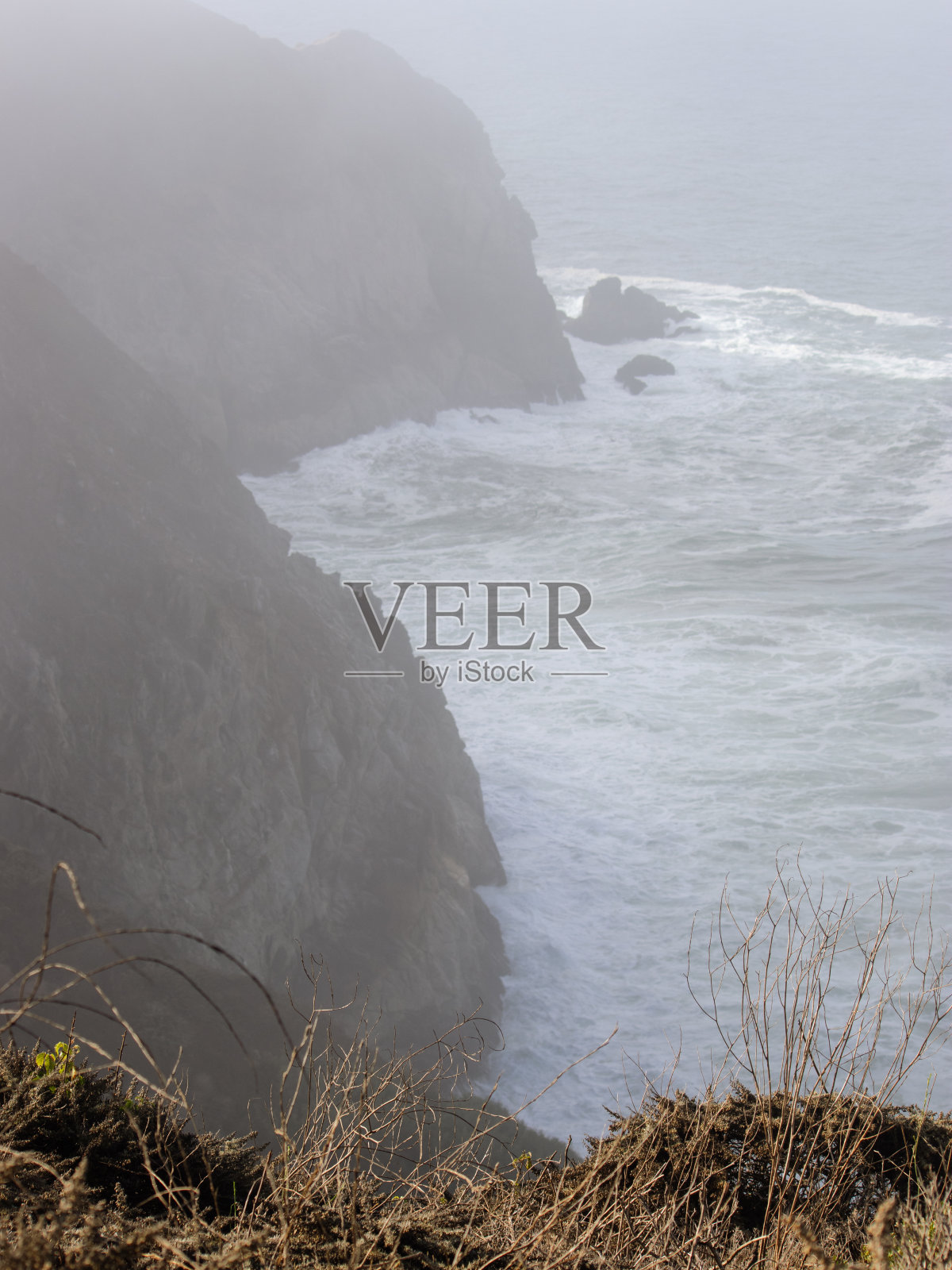 多雾的早晨，悬崖峭壁上的野花，前景是大海照片摄影图片