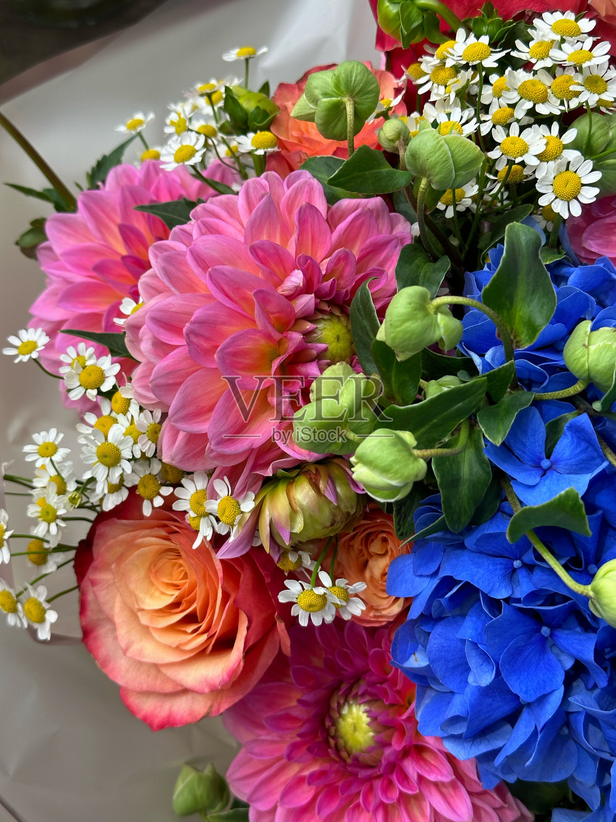 一束鲜艳的花照片摄影图片