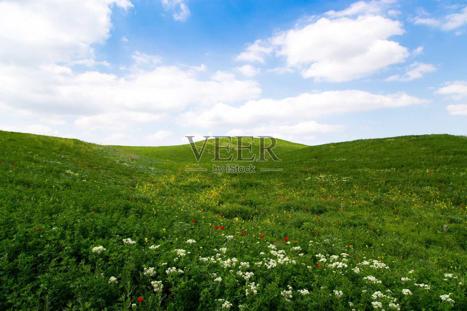 美丽的春夏景观。青山之间的乡间山路。鲜亮的绿草。照片摄影图片