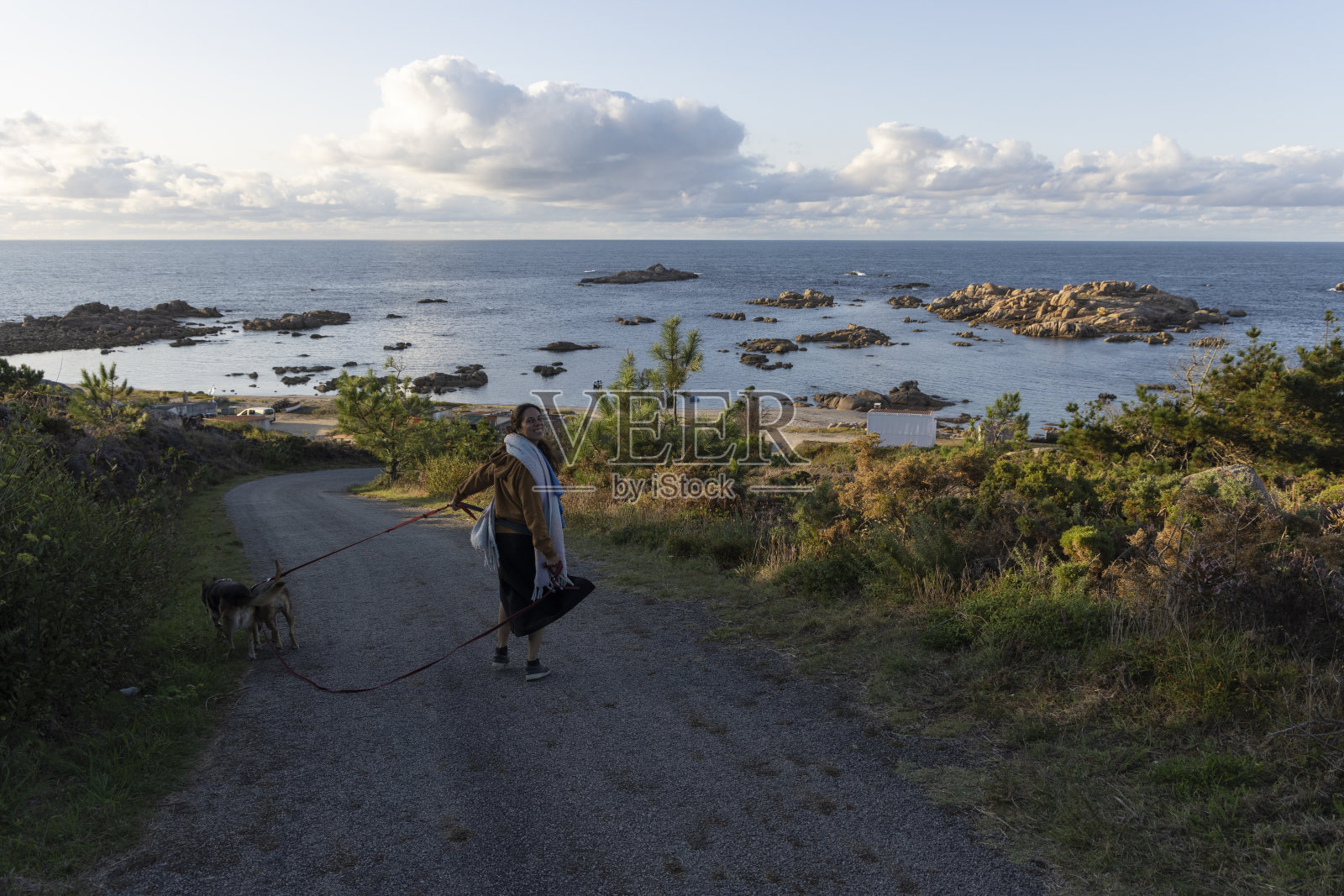 一个女人带着狗走向海滩照片摄影图片
