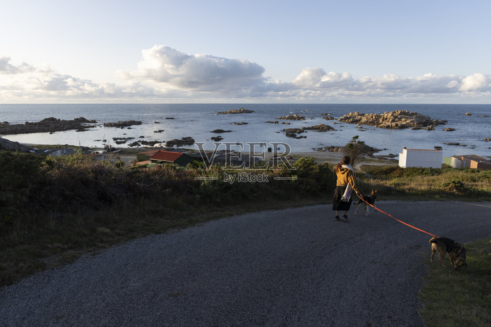 一个女人带着狗走向海滩照片摄影图片