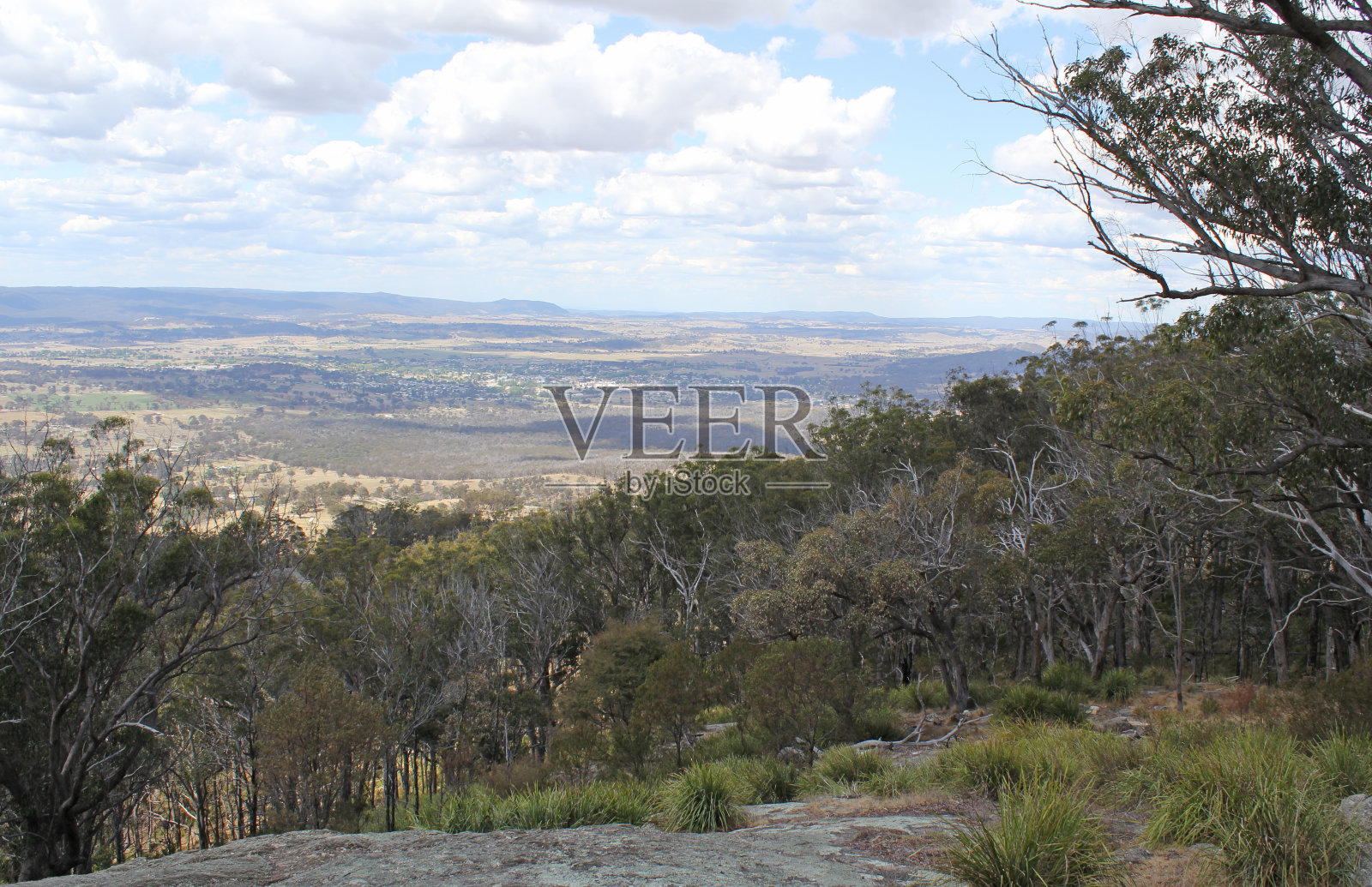 从澳大利亚新南威尔士州滕特菲尔德附近的麦肯齐山风景观景台观看树木景观照片摄影图片