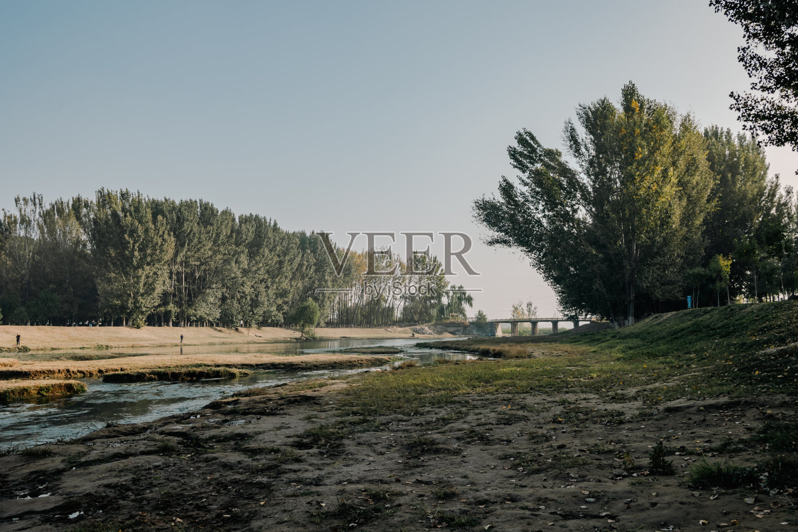 江畔森林秋景照片摄影图片