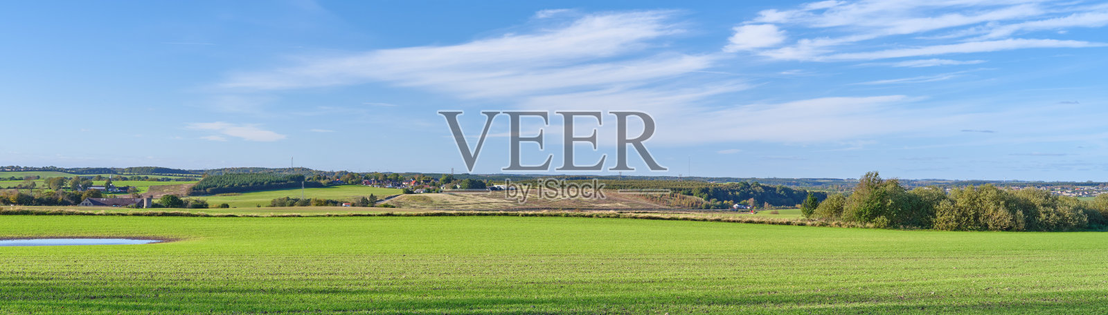 夏末初冬的碧绿田野和蓝天照片摄影图片