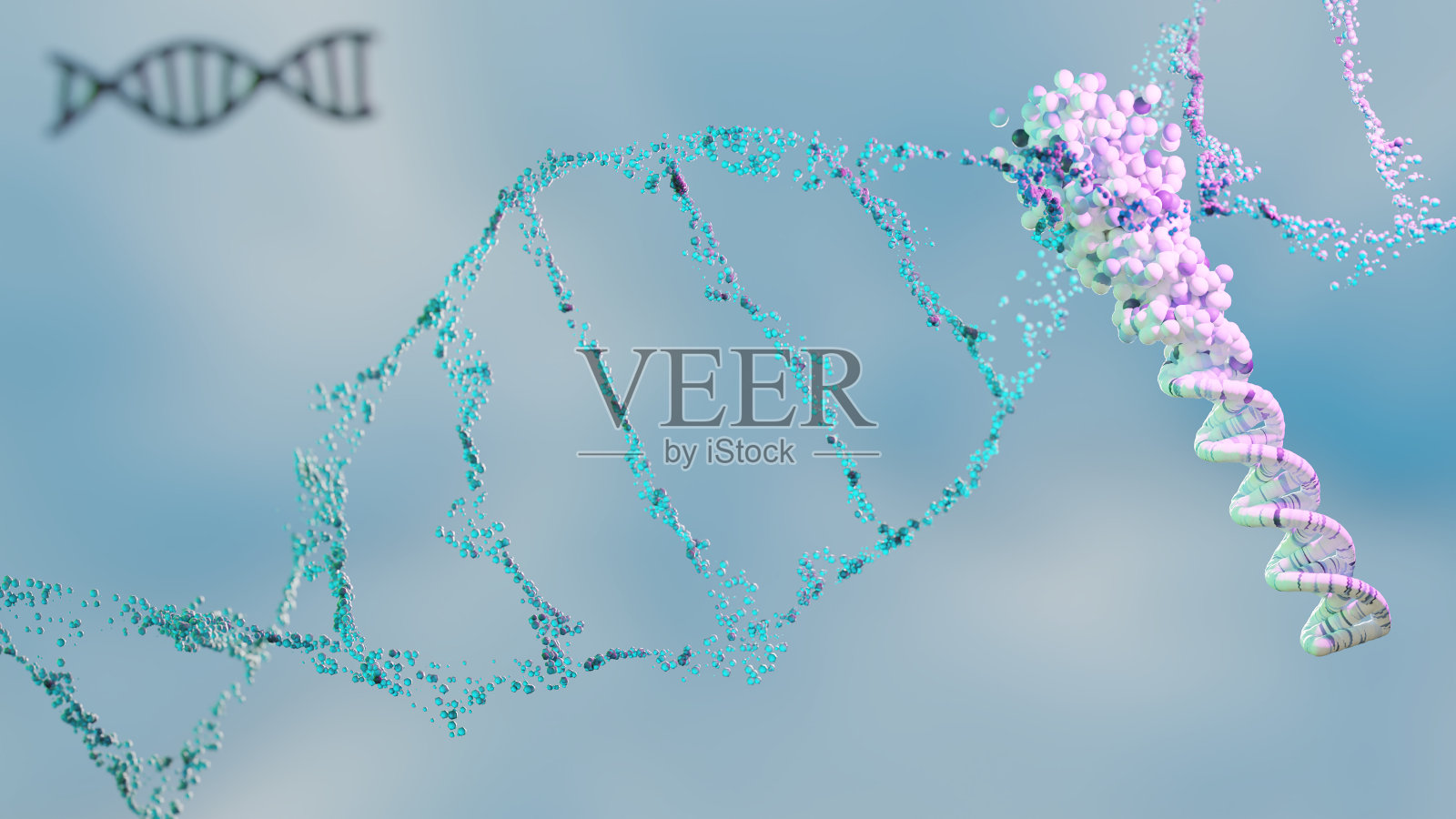 dna螺旋照片摄影图片