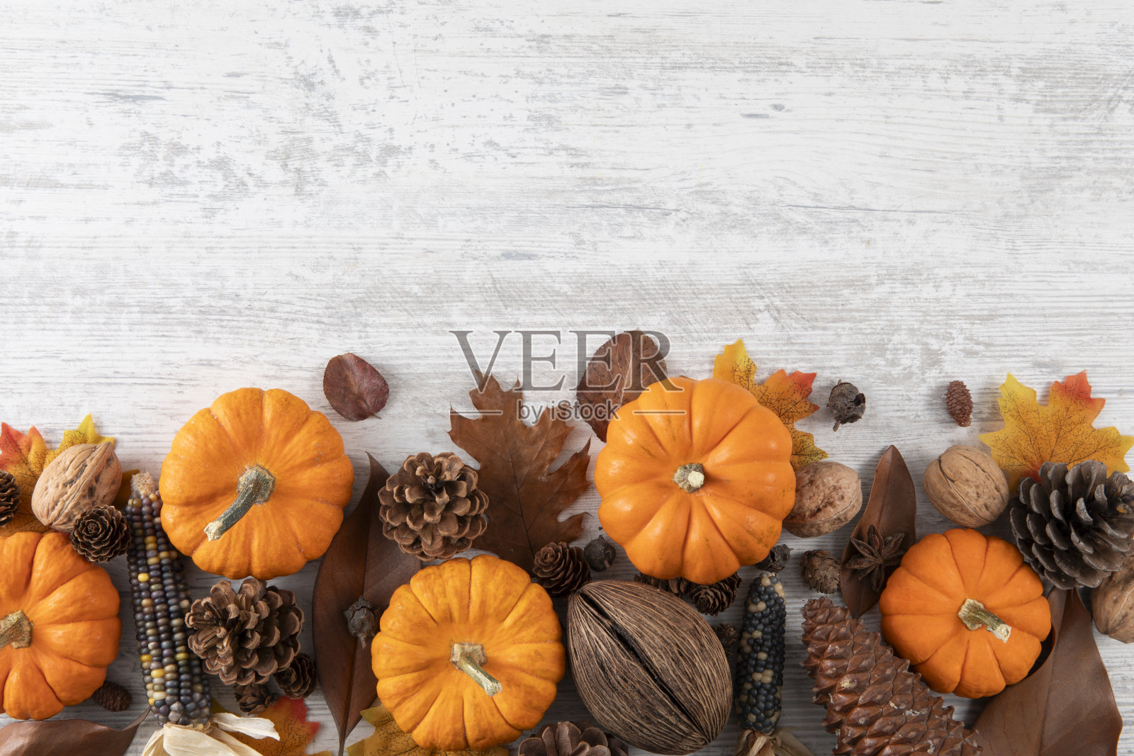 南瓜节日背景照片摄影图片