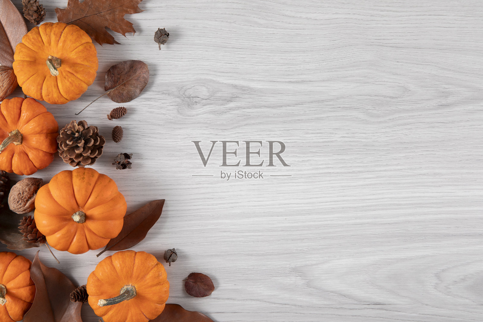 南瓜节日背景照片摄影图片