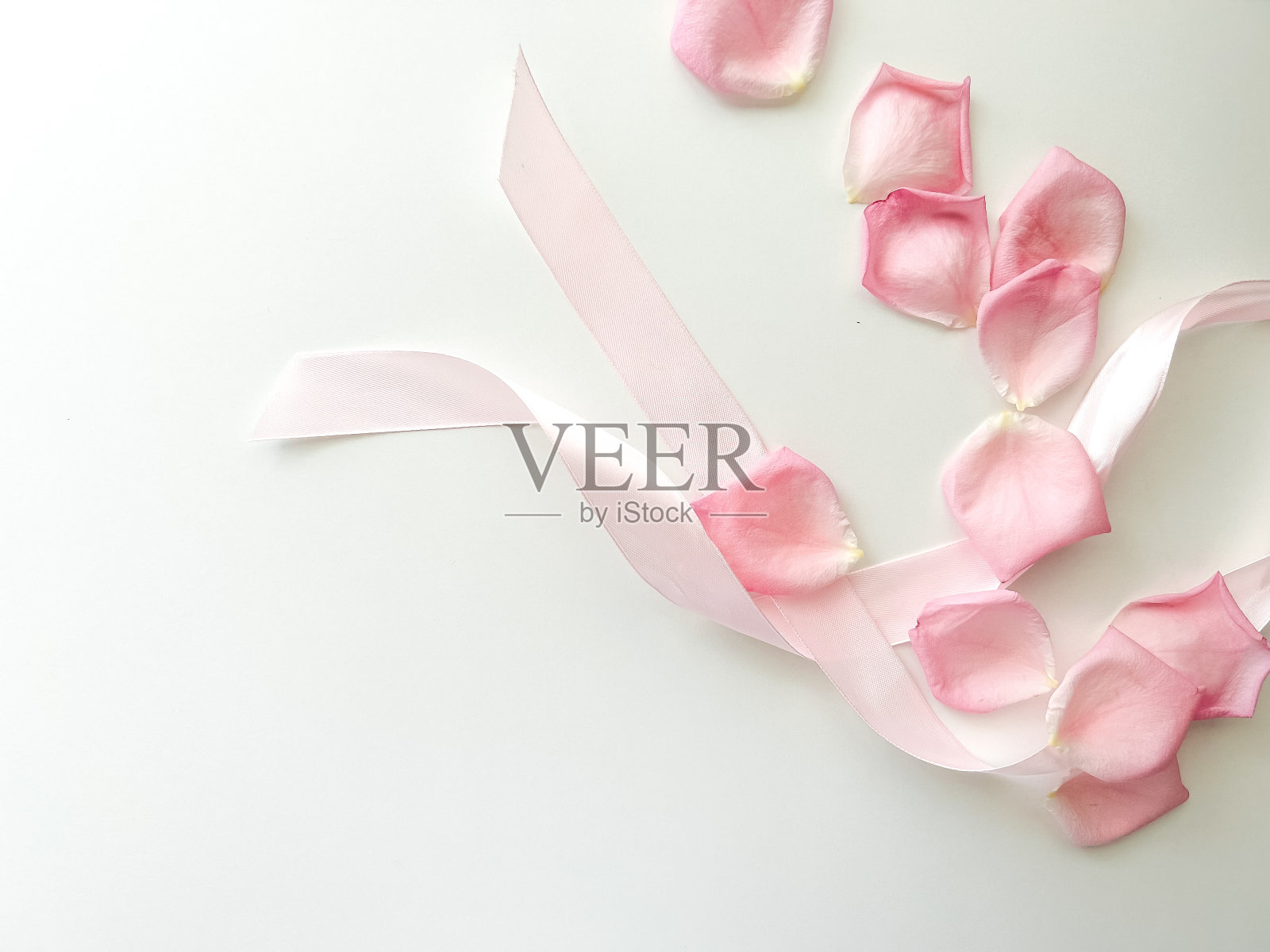 粉红色的丝带和玫瑰花瓣在浅色的背景。放文字的地方。情人节、母亲节、生日、三八节、妇女节、卡片照片摄影图片