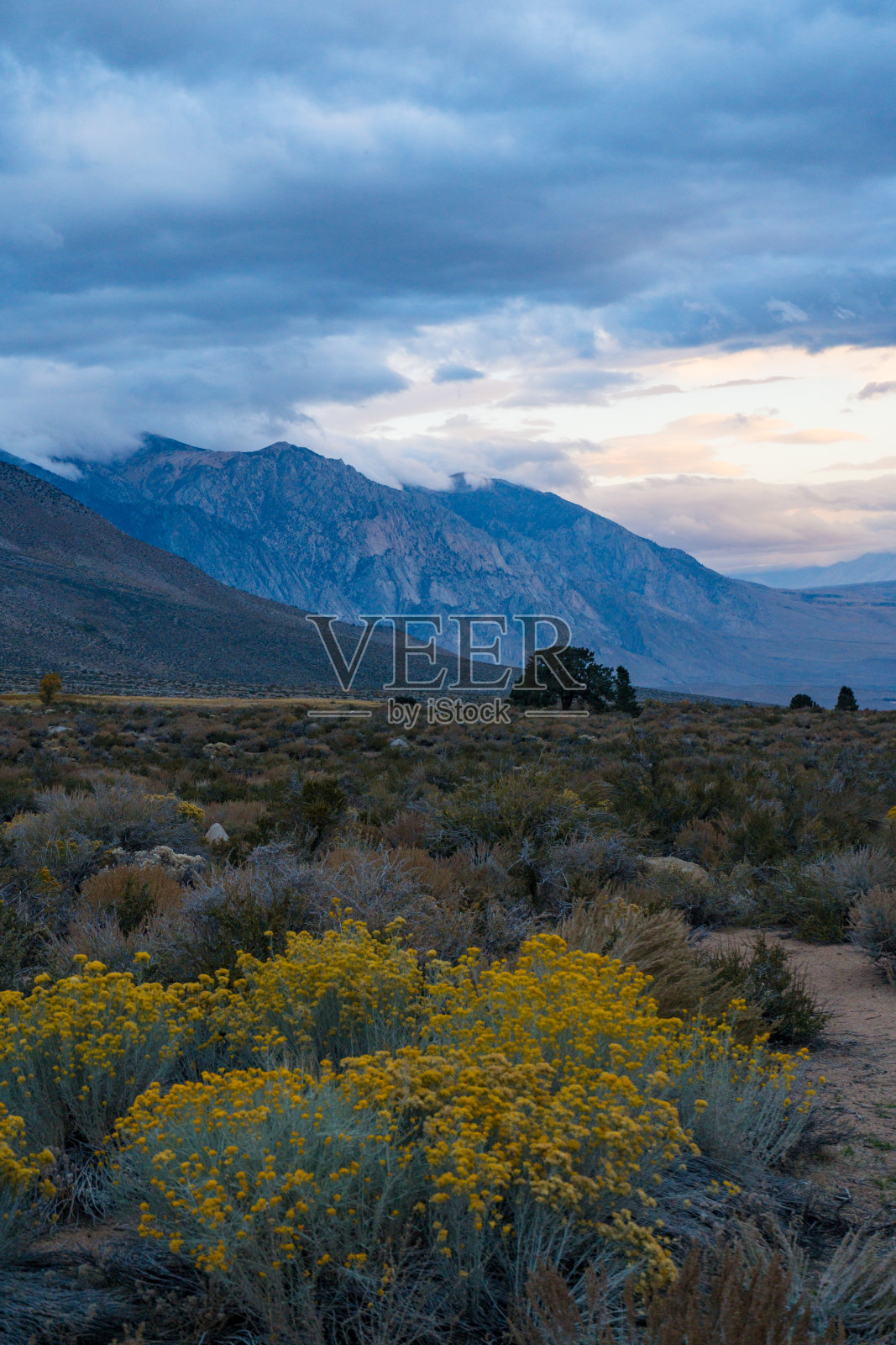 多云的早晨，酪乳照片摄影图片