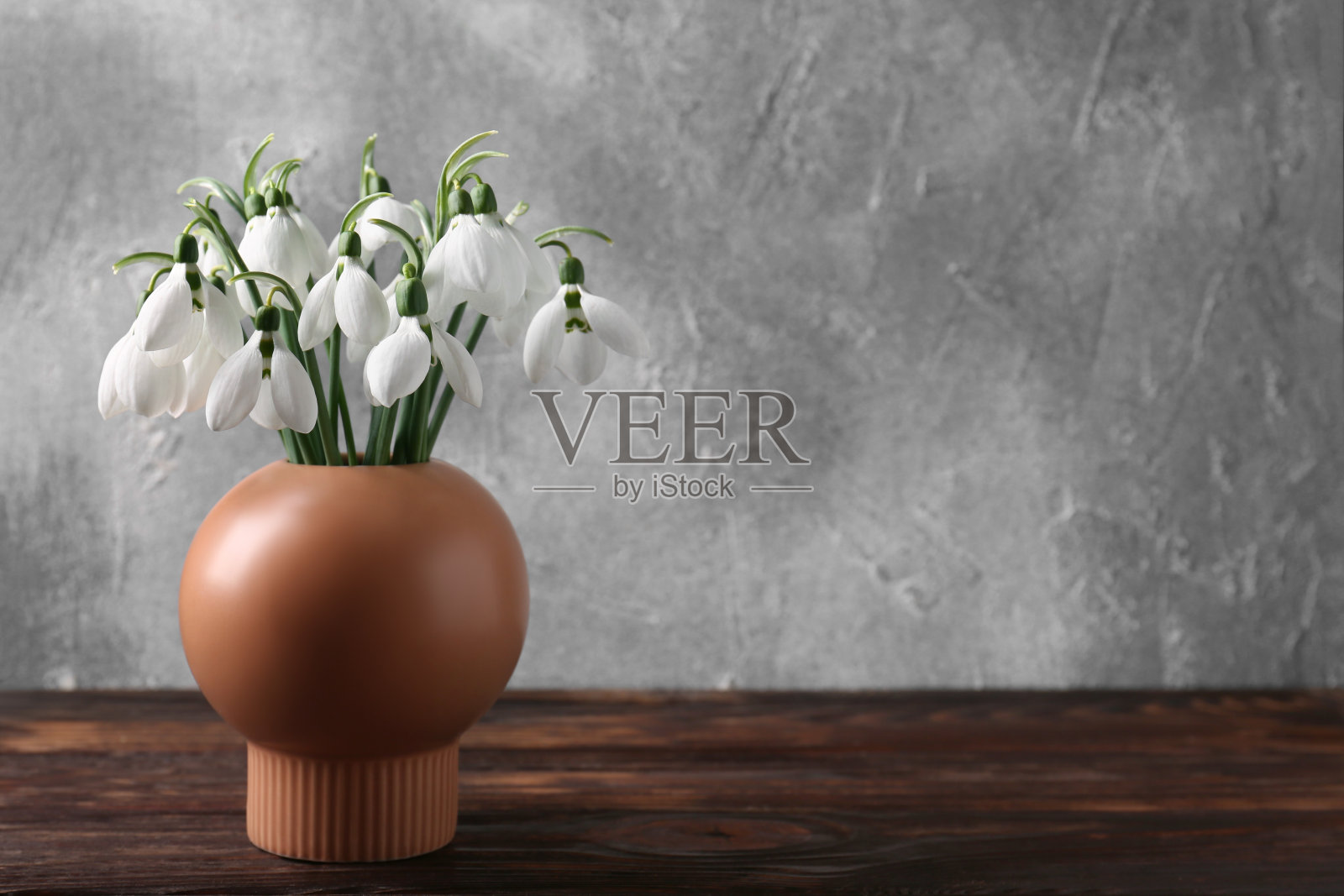 木桌上花瓶里美丽的雪花莲，留出文字的空间照片摄影图片