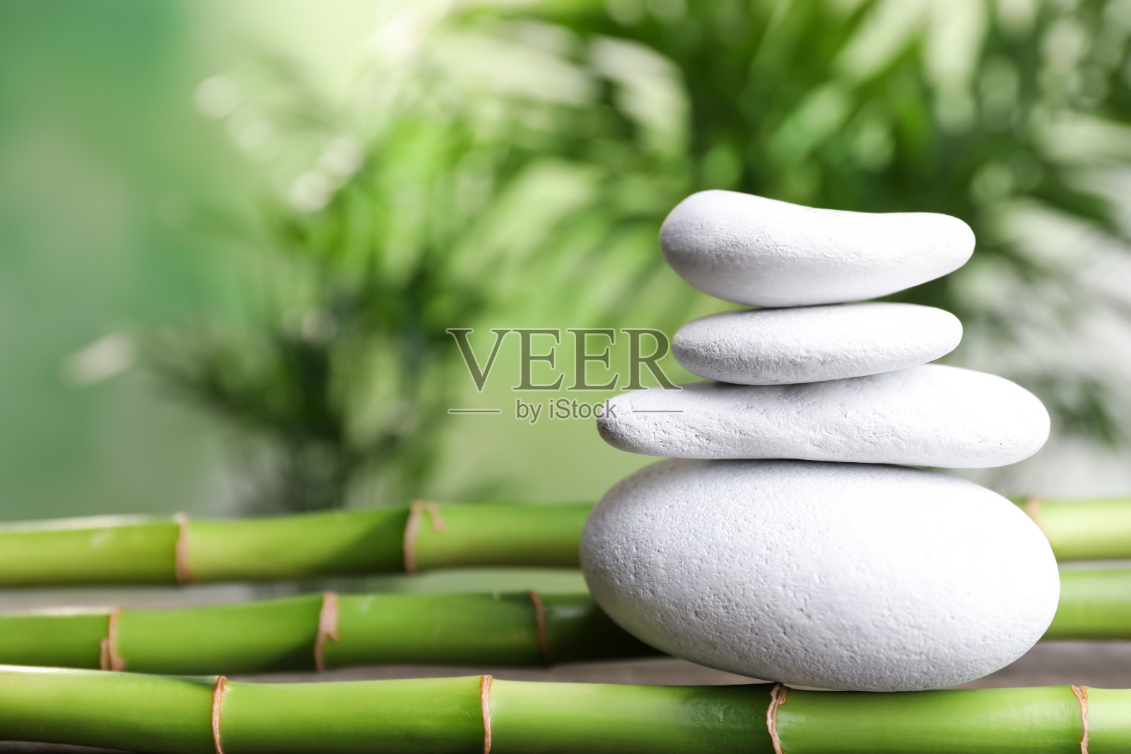 在模糊的背景下，白色的温泉石堆在竹茎上。文本空间照片摄影图片