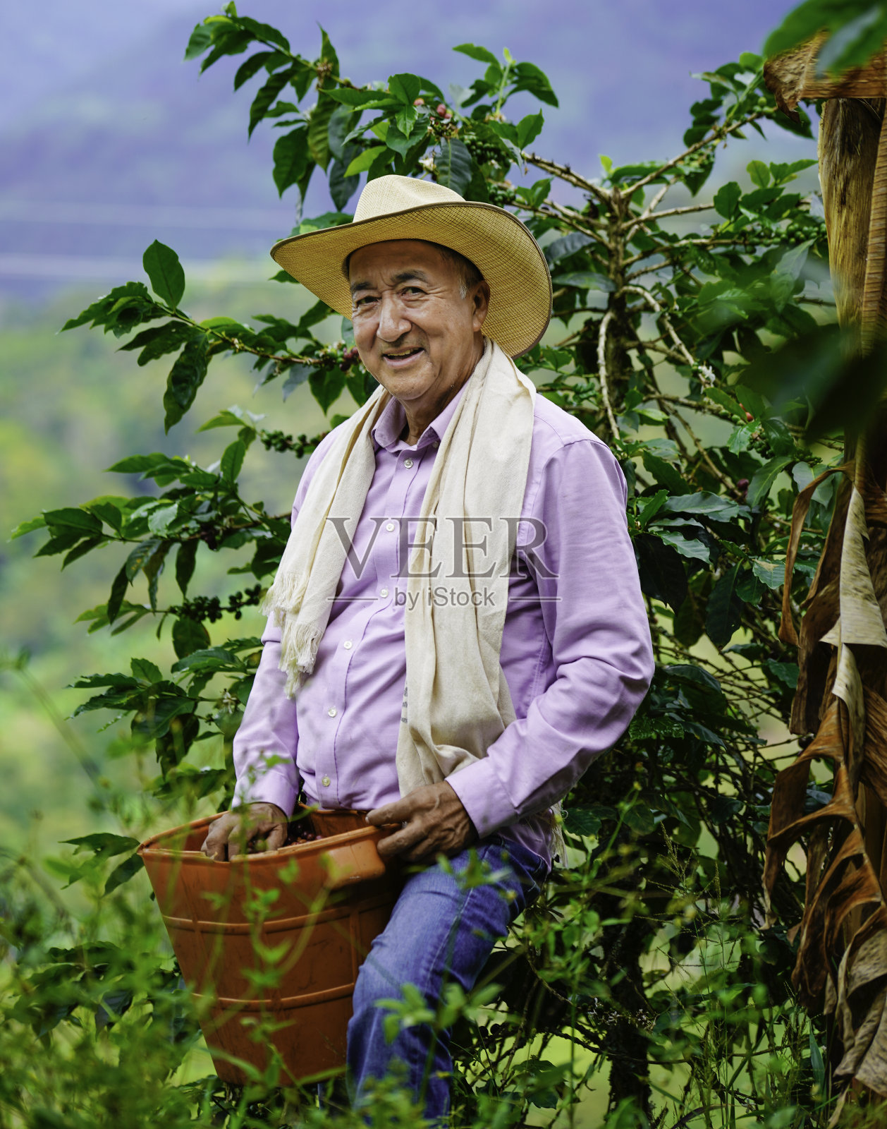 咖啡哥伦比亚人照片摄影图片