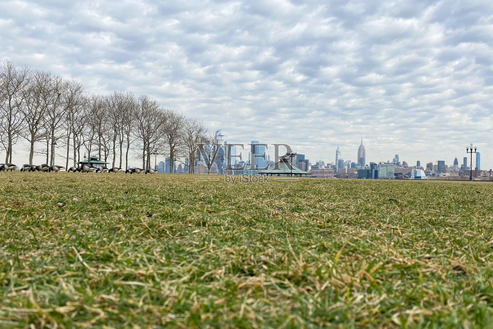 霍博肯海岸的公园俯瞰着曼哈顿的摩天大楼照片摄影图片