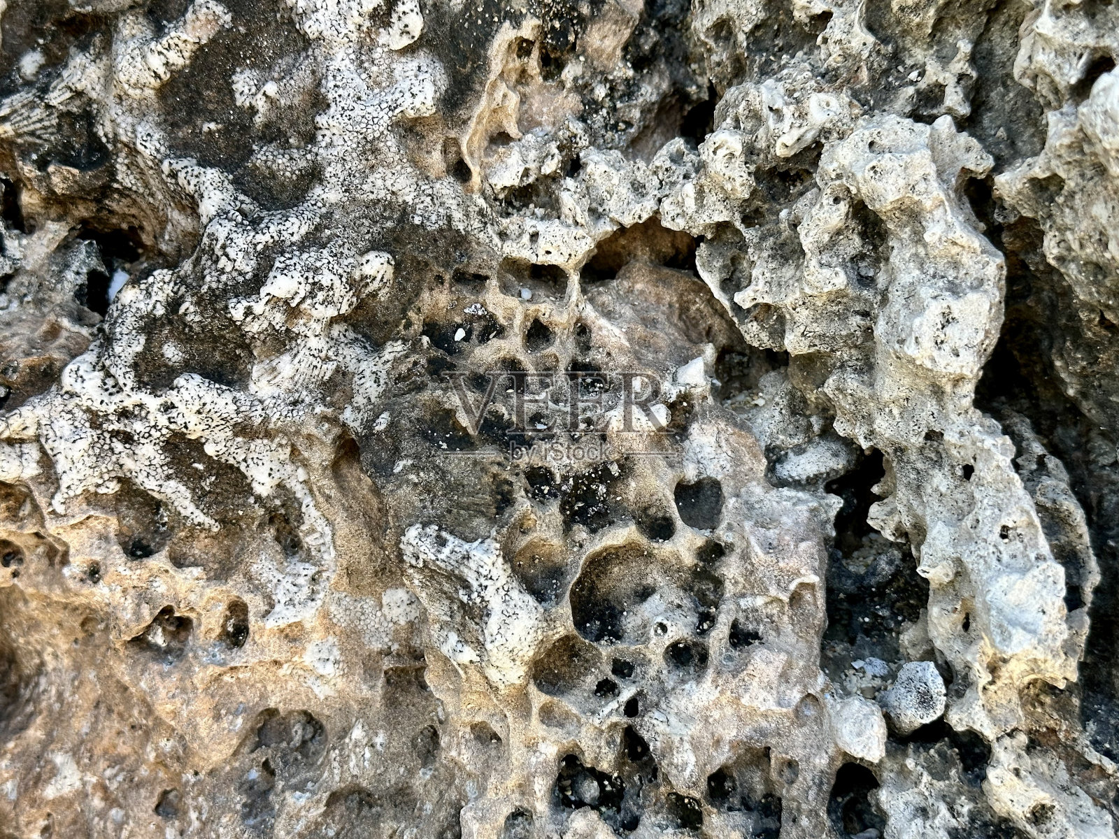 海中的珊瑚石照片摄影图片