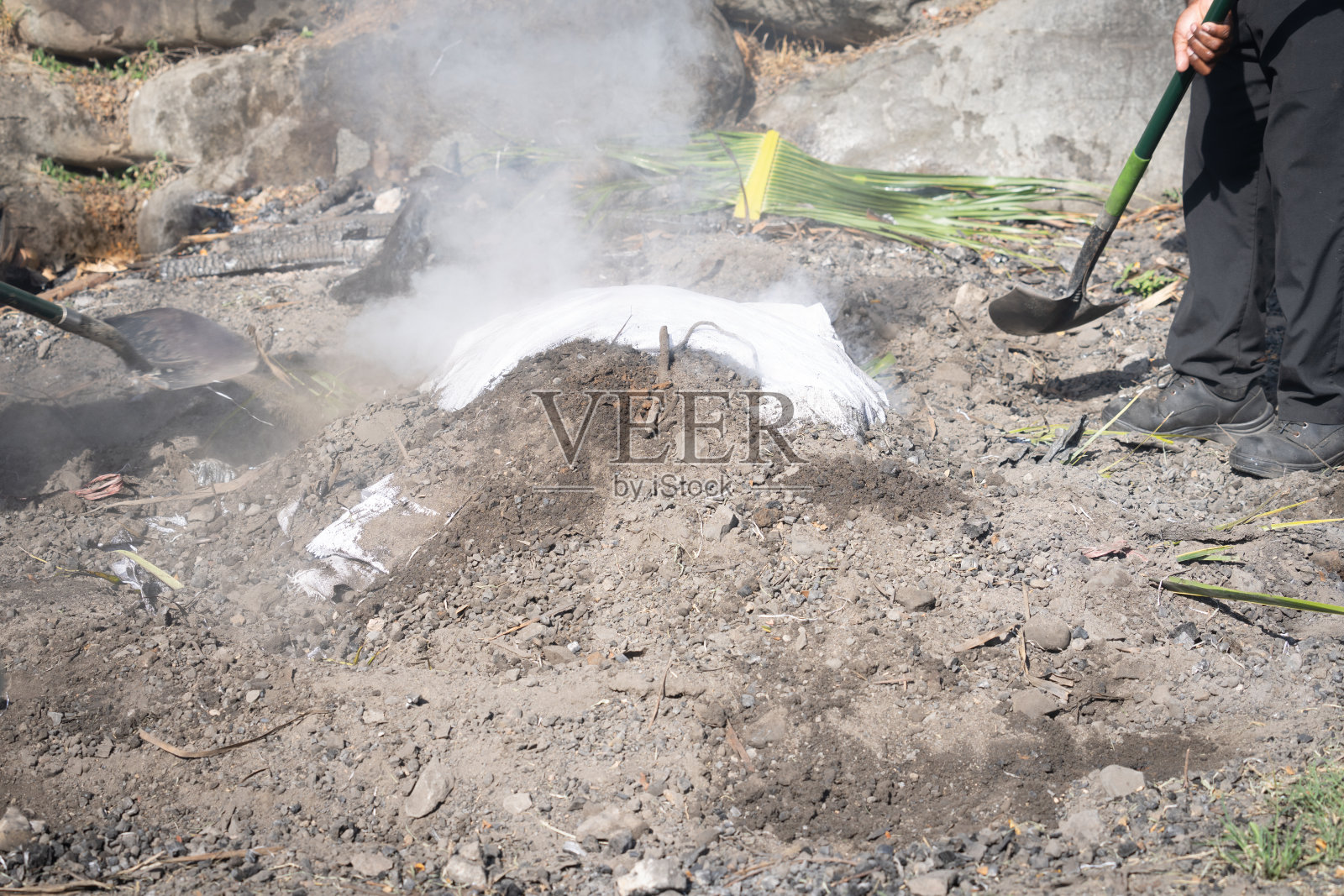 斐济传统的准备是在地面烤炉中烹饪。照片摄影图片