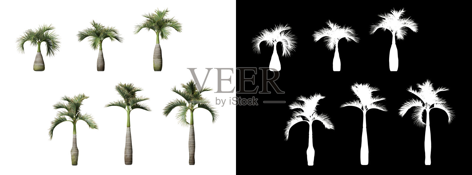 瓶棕榈树孤立在透明的背景插画图片素材