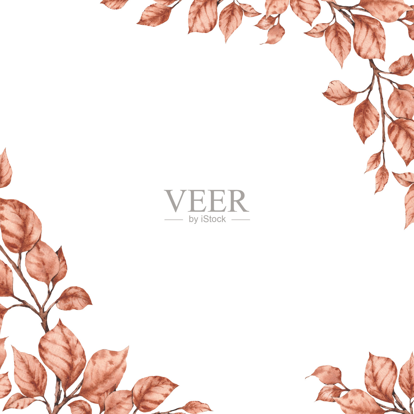 方形框架与森林树叶在白色背景。插画图片素材