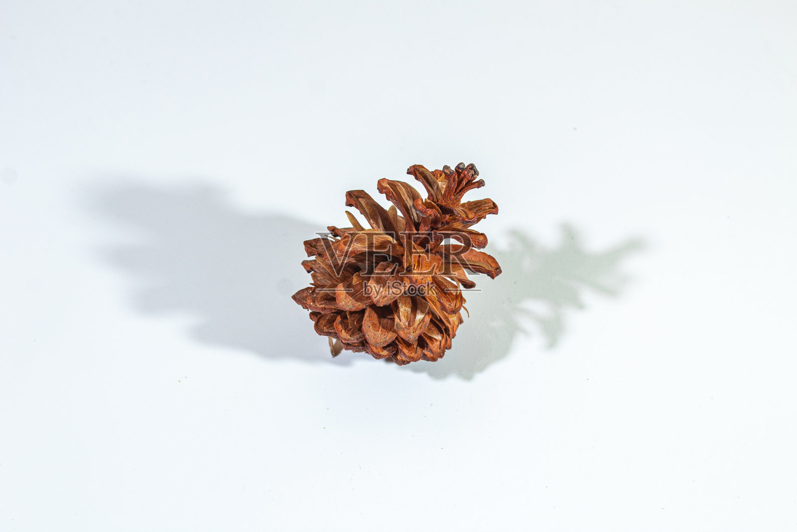 食物照片摄影图片