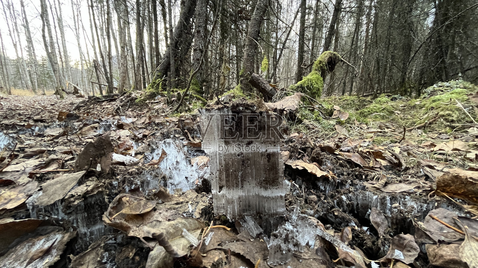 冰糕照片摄影图片