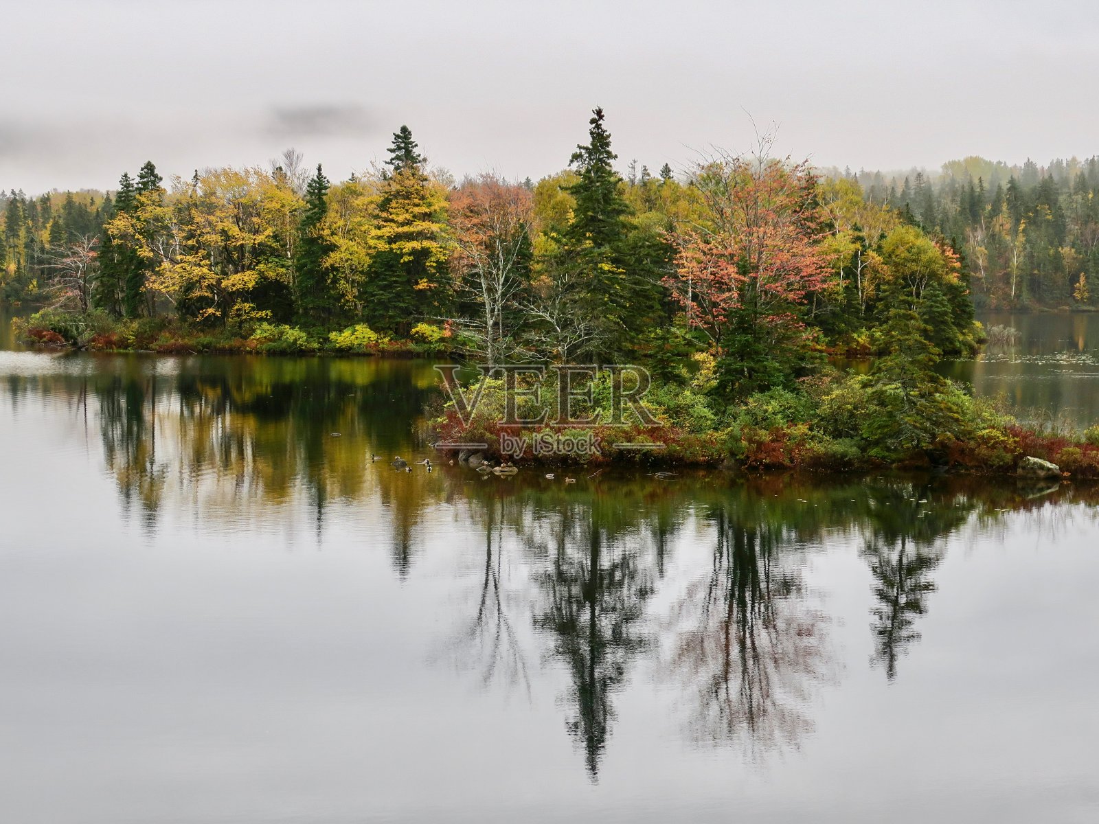 秋天的布雷顿角照片摄影图片