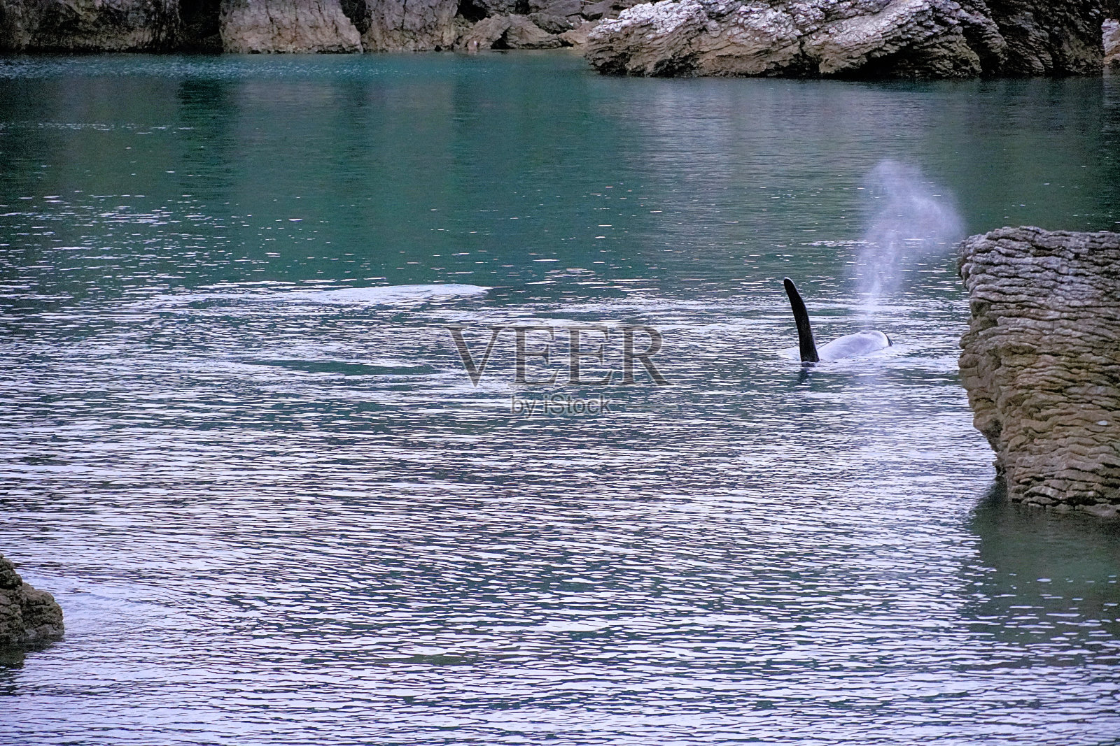 新西兰南岛照片摄影图片