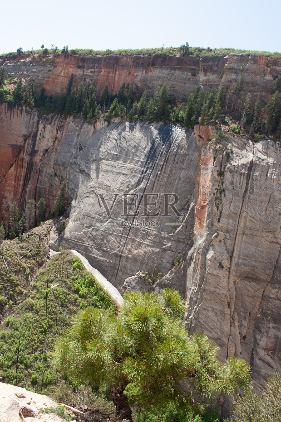 锡安国家公园荒野中的西缘小径照片摄影图片