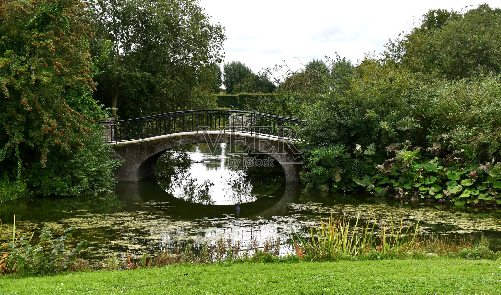 公园里的桥照片摄影图片