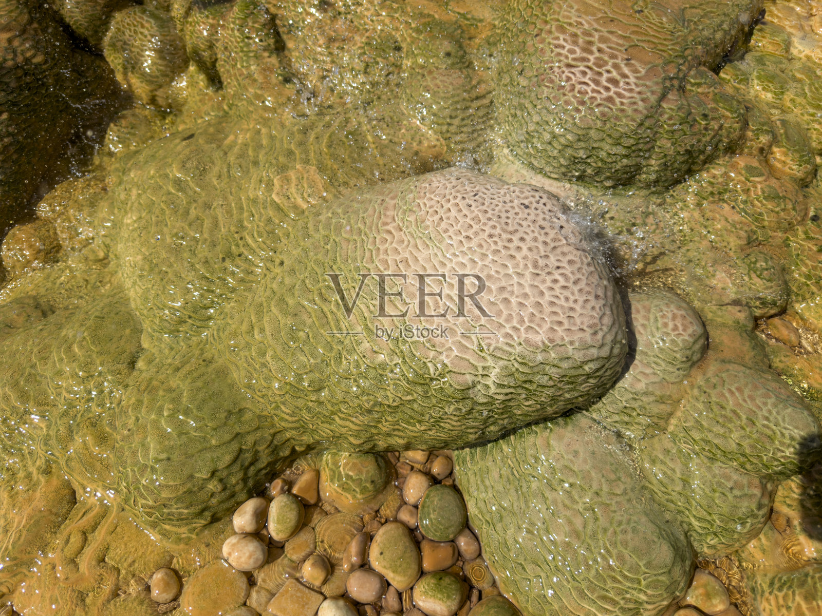 温泉石的魔力:石灰华的形状和颜色演变照片摄影图片