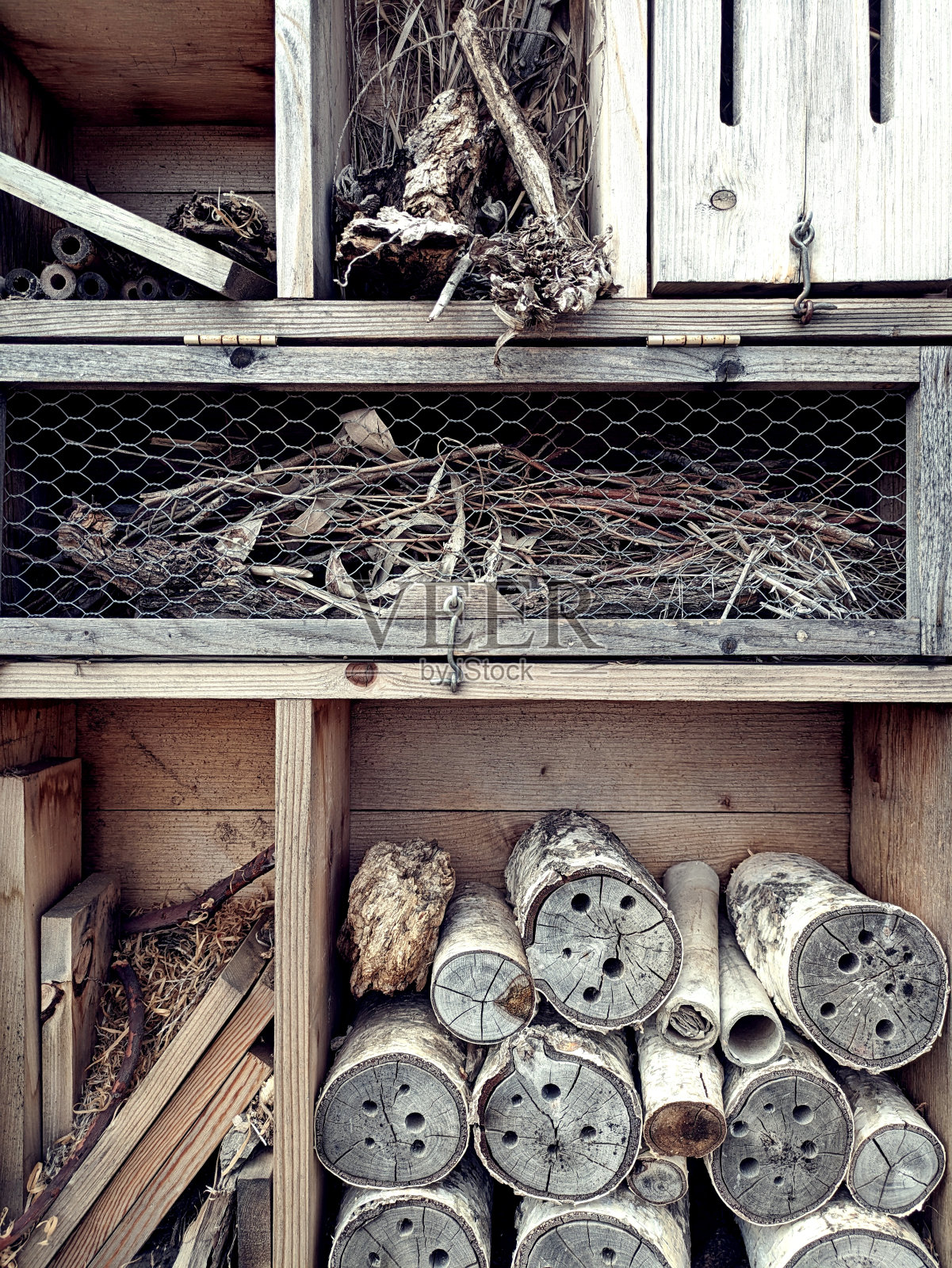 昆虫酒店在文图拉植物园照片摄影图片